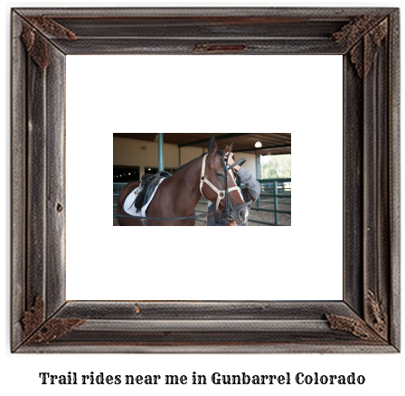 trail rides near me in Gunbarrel, Colorado